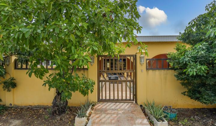 Palm Beach 114-B photo 5